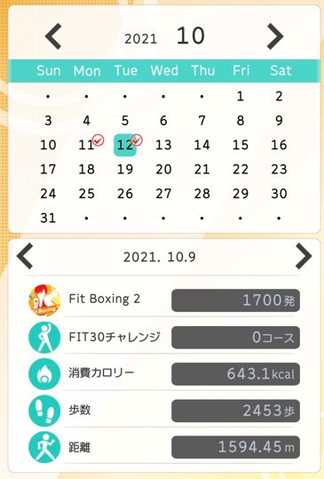 Fit Boxing